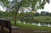 Bee Tree Park
