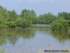 One of the lakes in August A. Busch Memorial Conservation Area