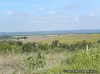 Rolling farmland in Calhoun County