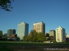 Clayton Missouri Skyline
