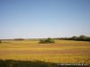 Columbia Bottom Conservation Area