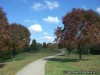 Trail