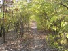Trail in Emmenegger Nature Park