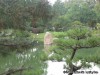 Japanese Garden at the Missouri Botanical Garden