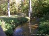 Busch Greenway trail to the Missouri Research Park