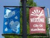 Welcome to Manchester Missouri!