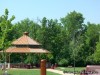 Millenium Park Gazebo