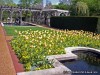 Missouri Botanical Gardens