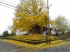Fall in New Haven Missouri