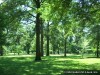 Oak Knoll Park