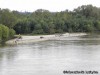 View of Chouteau Island from the Bridge
