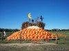 Rombach Farms Pumpkin Patch