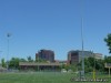 Ball Fields in Shaw Park