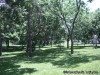 Shaw Park grounds