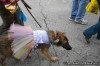 Barkus Parade in Soulard