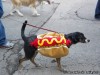 Barkus Parade in Soulard