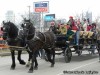 Mardi Gras Grand Parade in Soulard