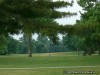 St Ann City Park