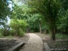 A trail at Ted and Pat Jones Confluence Point State Park