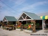 Thies Farm-West