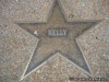 St Louis Walk of Fame Star-Nelly