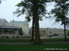 Washington University Campus