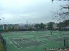 The Tennis Center in Webster Groves