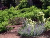 Webster Groves Secret Garden Tour
