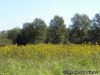 William R. Logan Conservation Area