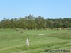The Woodlands Golf Club