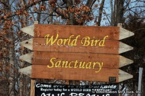 World Bird Sanctuary