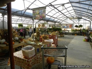 Thies Farm-North