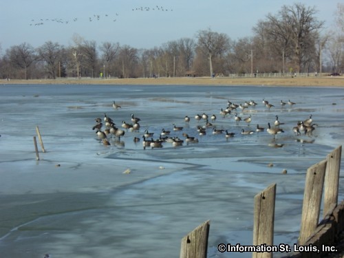 Creve Coeur Lake