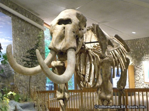 Mastodon State Historic Site