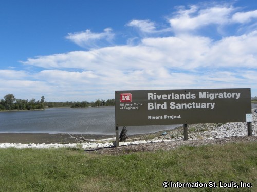 Riverlands Migratory Bird Sanctuary