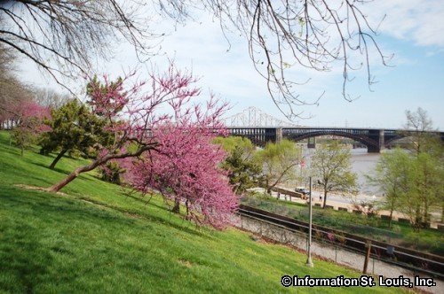 Spring on the Arch Grounds Spring on the Arch grounds